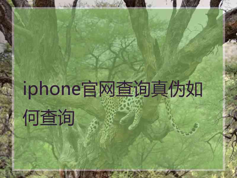 iphone官网查询真伪如何查询