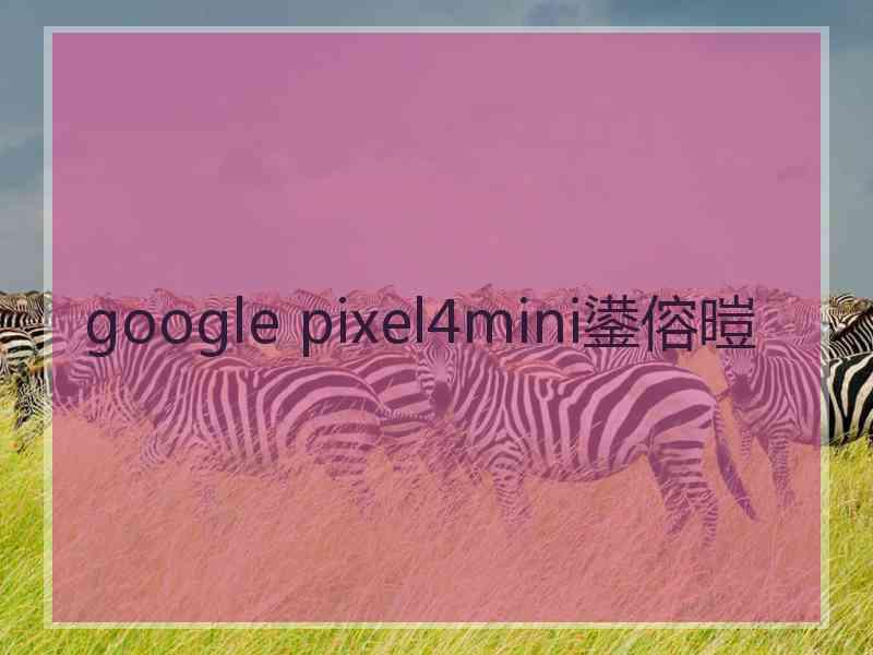 google pixel4mini鍙傛暟