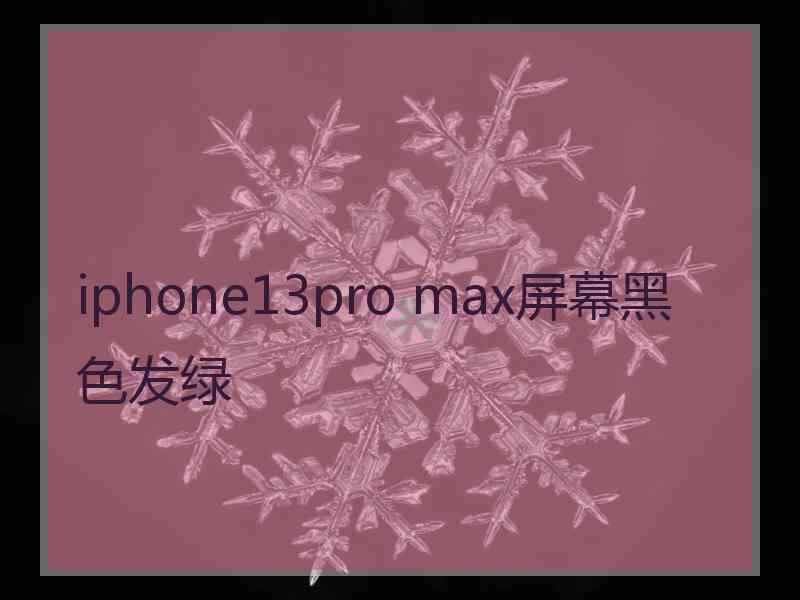 iphone13pro max屏幕黑色发绿