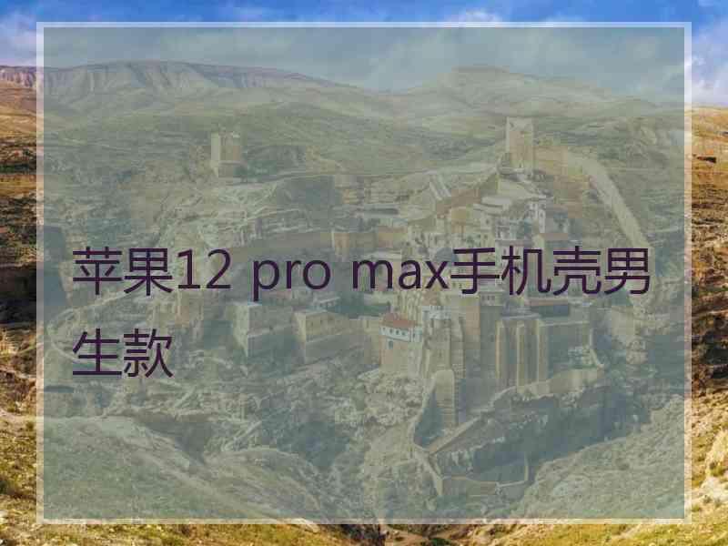 苹果12 pro max手机壳男生款