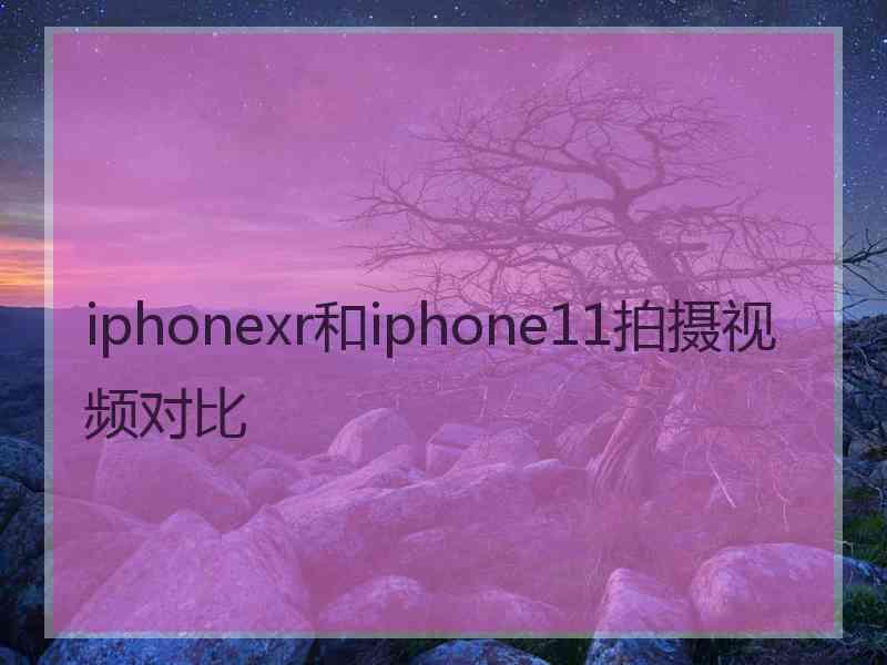 iphonexr和iphone11拍摄视频对比