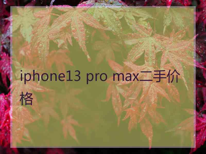 iphone13 pro max二手价格