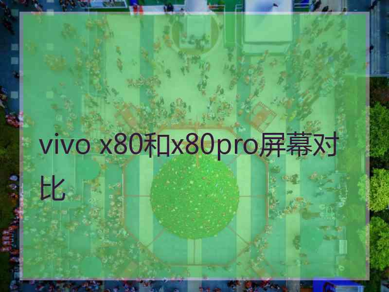 vivo x80和x80pro屏幕对比