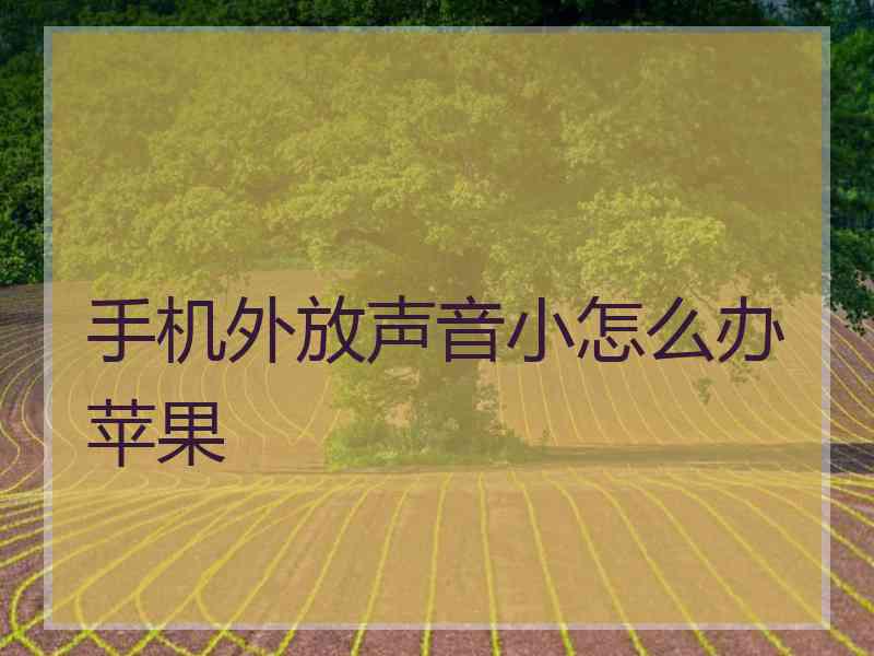 手机外放声音小怎么办苹果