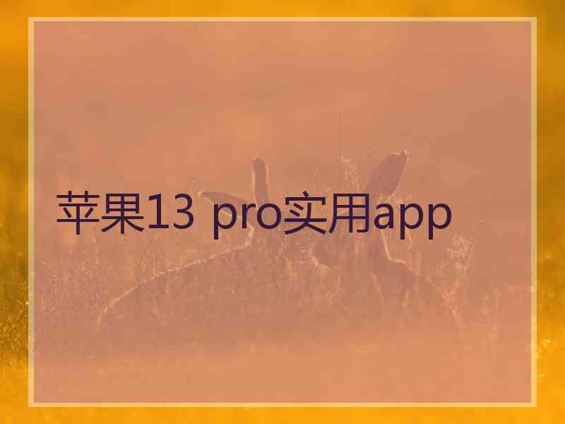 苹果13 pro实用app