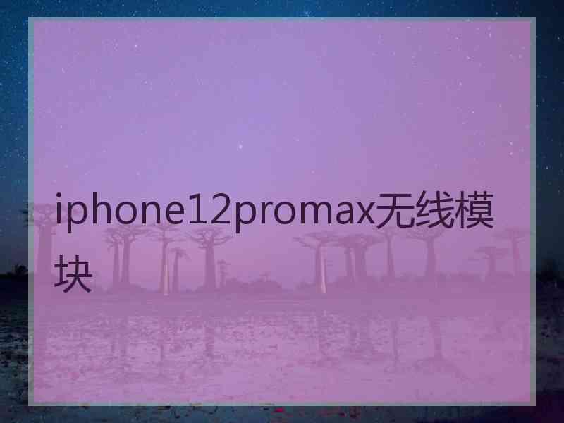 iphone12promax无线模块