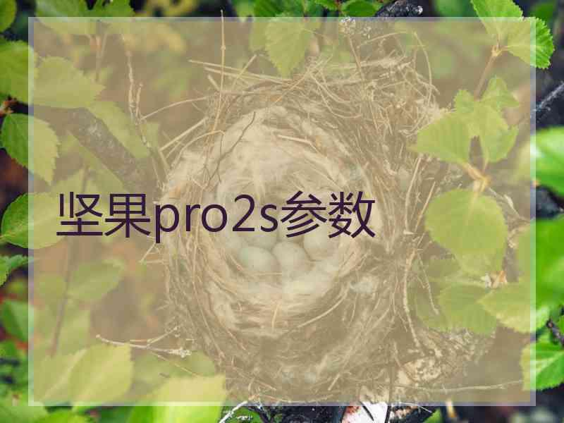 坚果pro2s参数