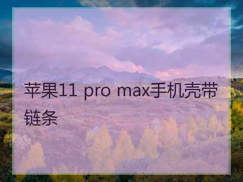 苹果11 pro max手机壳带链条