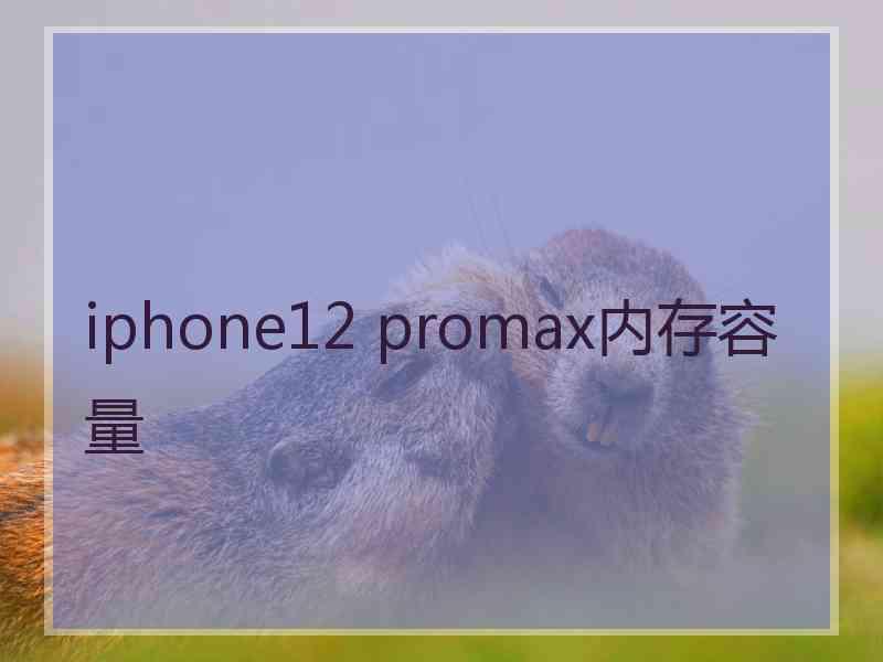 iphone12 promax内存容量