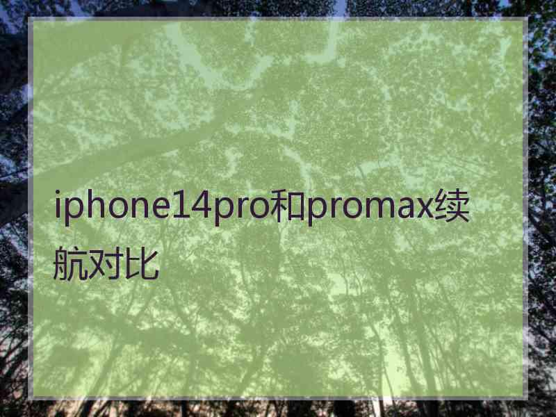 iphone14pro和promax续航对比