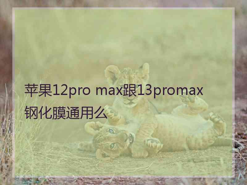 苹果12pro max跟13promax钢化膜通用么