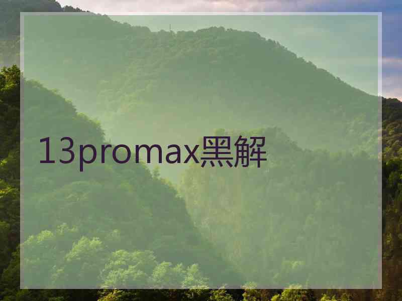 13promax黑解