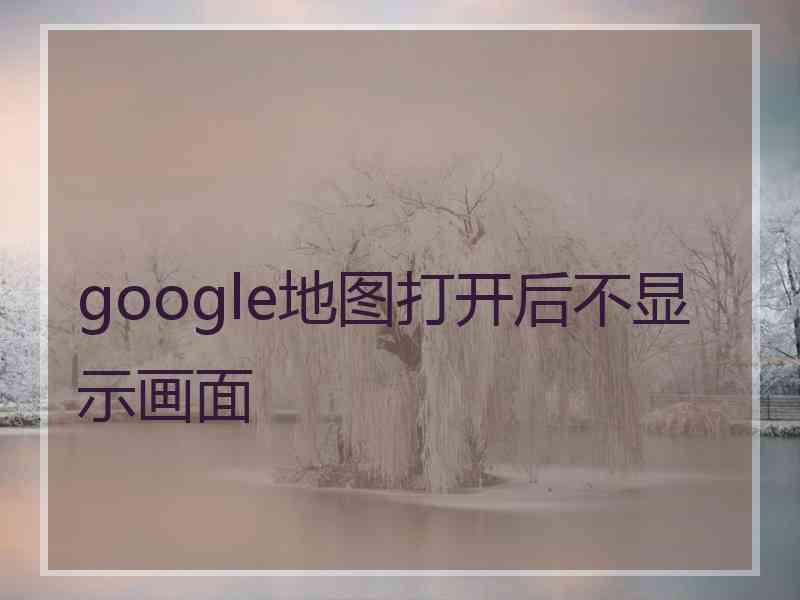 google地图打开后不显示画面