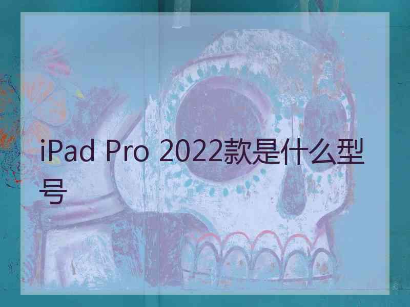 iPad Pro 2022款是什么型号