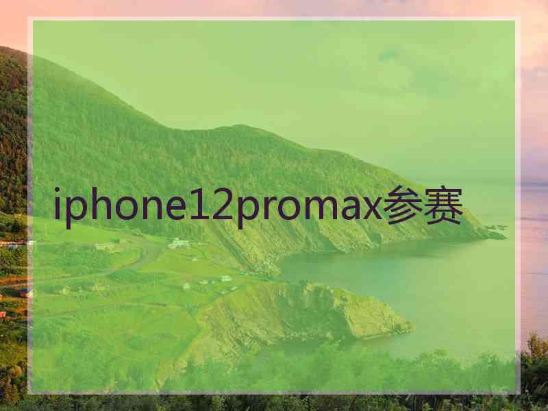 iphone12promax参赛