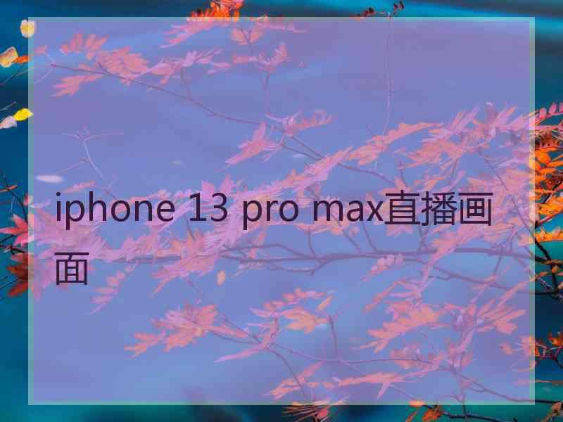 iphone 13 pro max直播画面