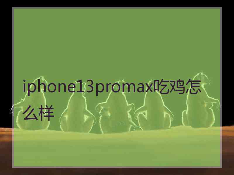 iphone13promax吃鸡怎么样