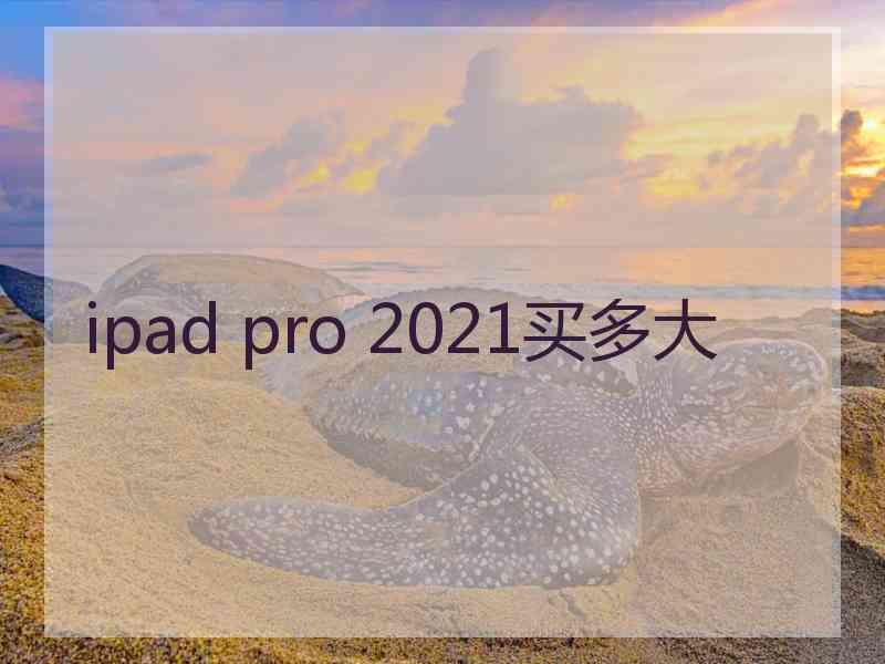 ipad pro 2021买多大