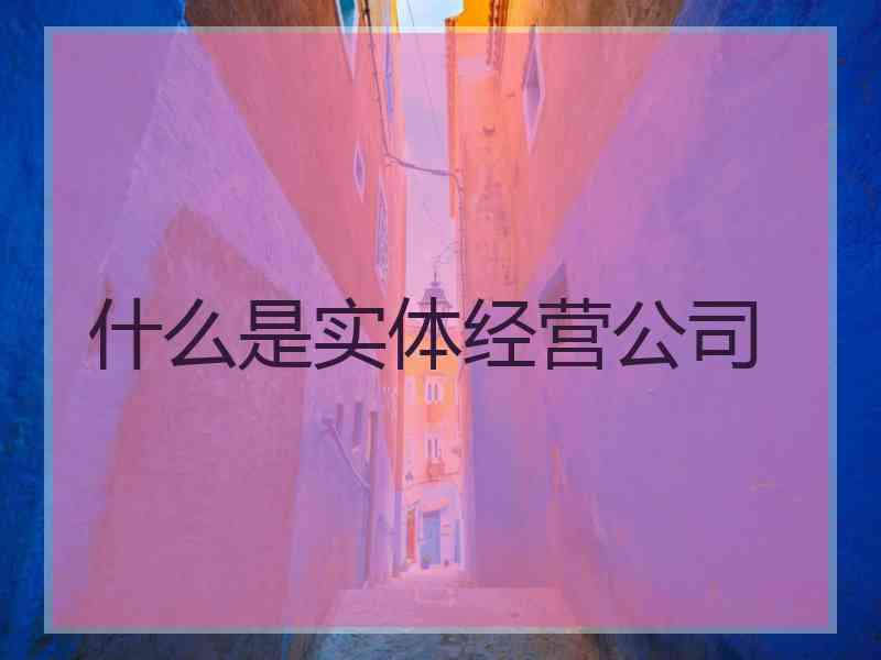 什么是实体经营公司