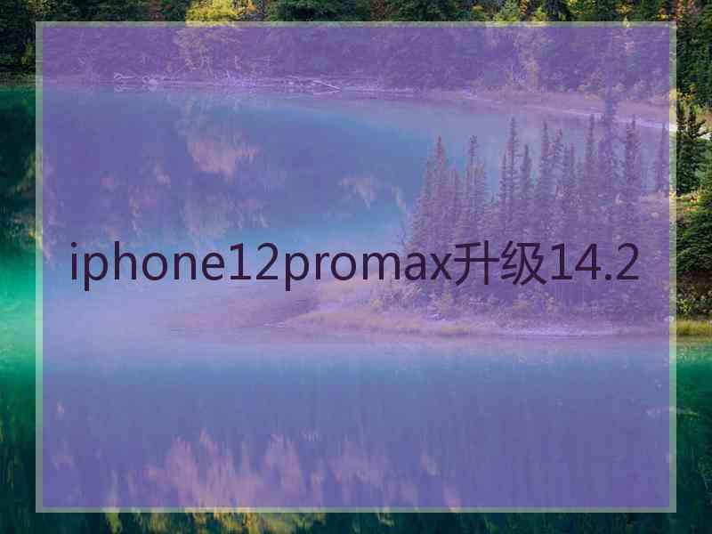 iphone12promax升级14.2