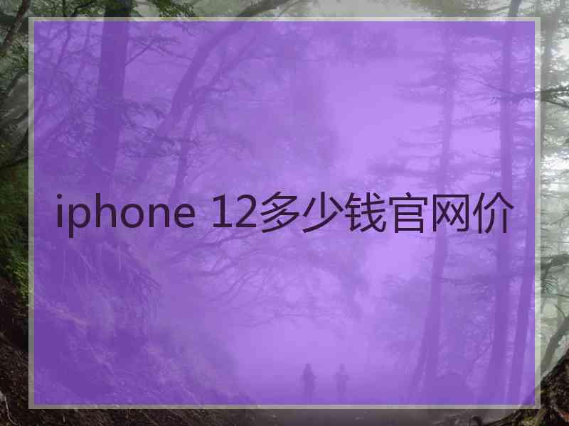 iphone 12多少钱官网价