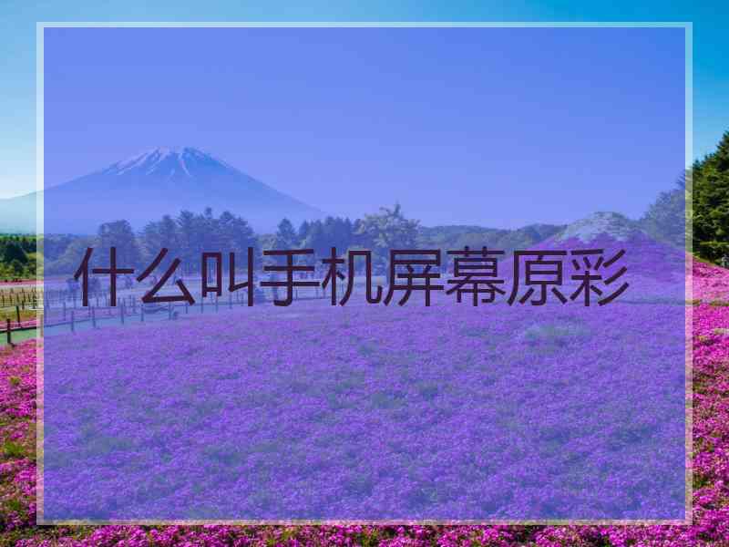 什么叫手机屏幕原彩