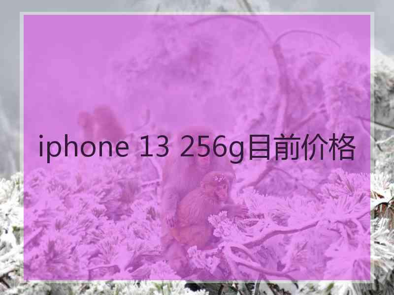 iphone 13 256g目前价格