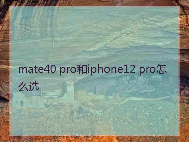 mate40 pro和iphone12 pro怎么选