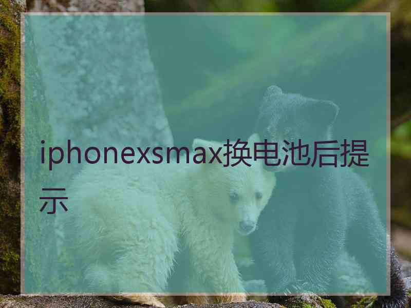 iphonexsmax换电池后提示