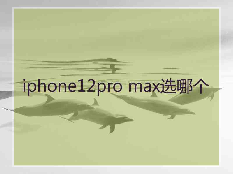 iphone12pro max选哪个