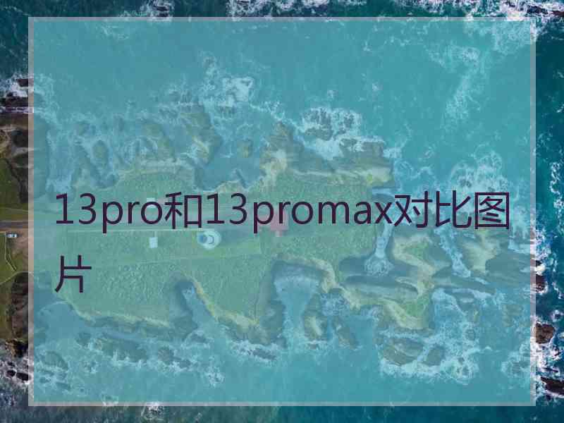 13pro和13promax对比图片