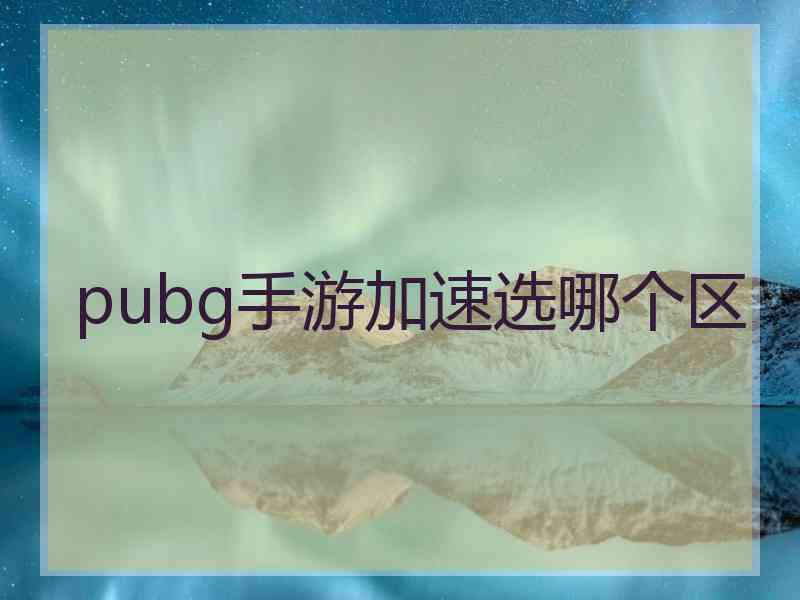 pubg手游加速选哪个区