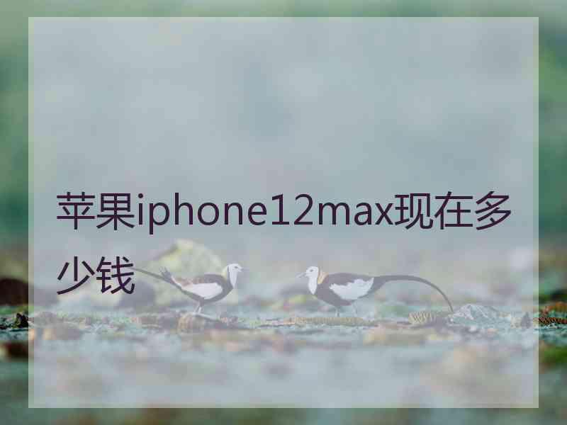 苹果iphone12max现在多少钱