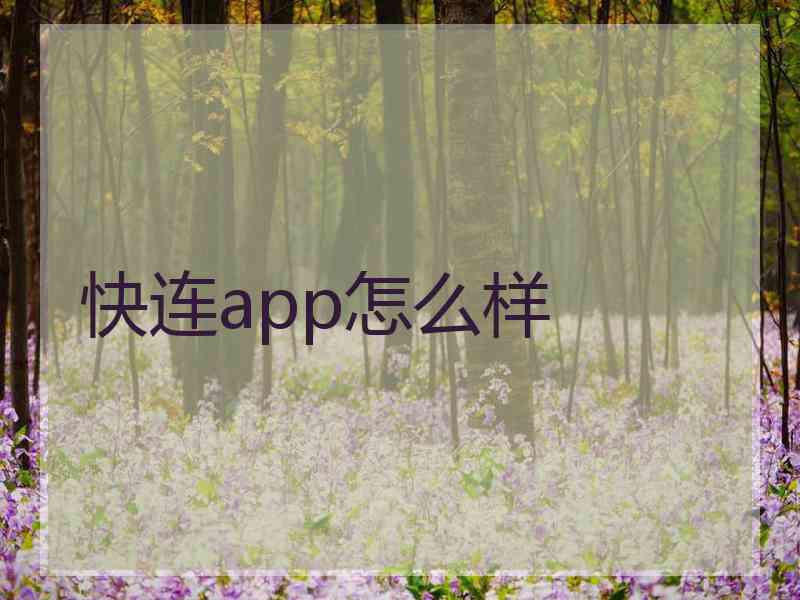 快连app怎么样