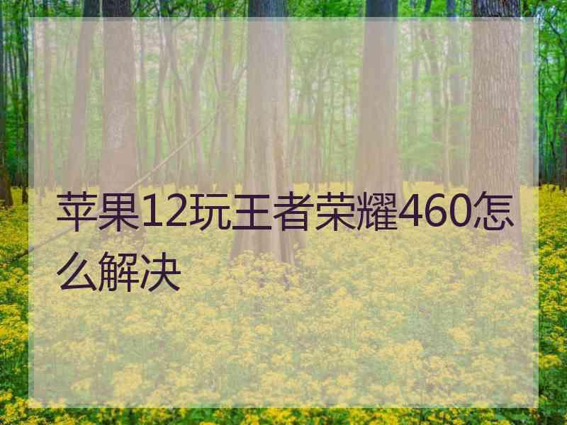 苹果12玩王者荣耀460怎么解决