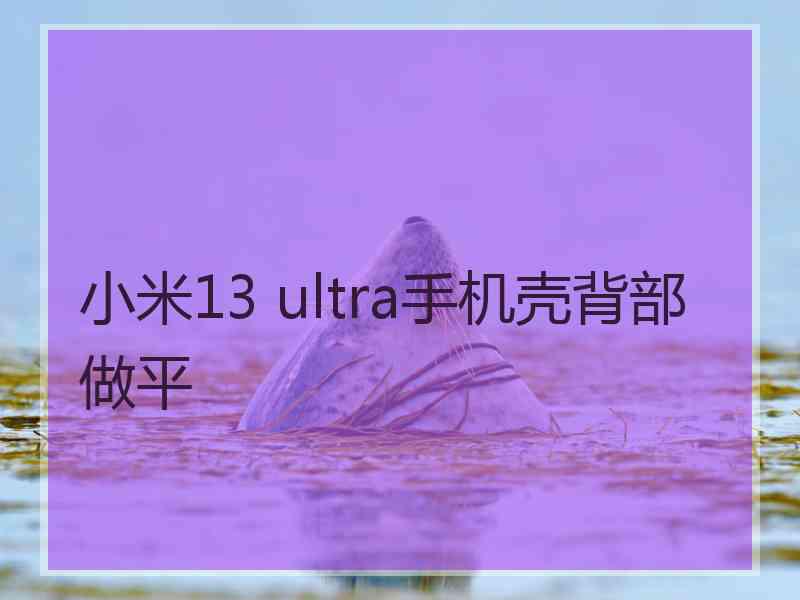 小米13 ultra手机壳背部做平