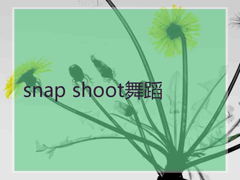 snap shoot舞蹈