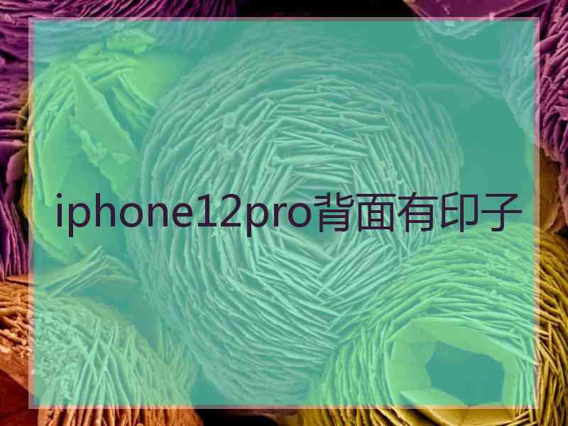 iphone12pro背面有印子