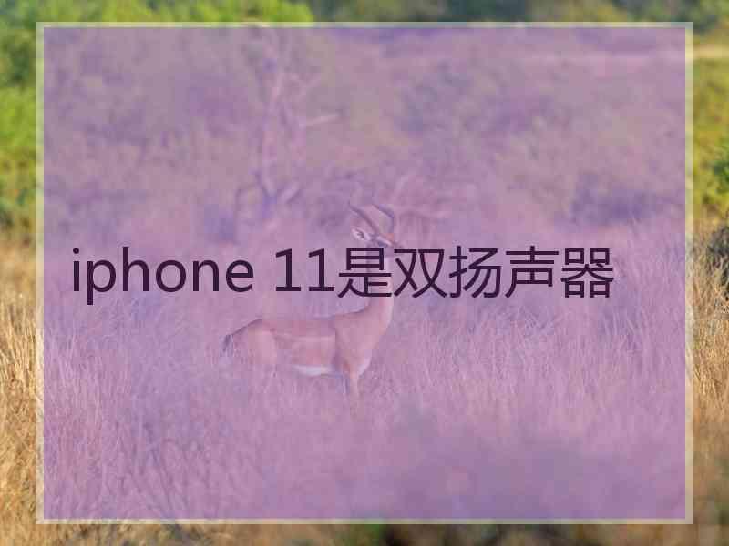 iphone 11是双扬声器