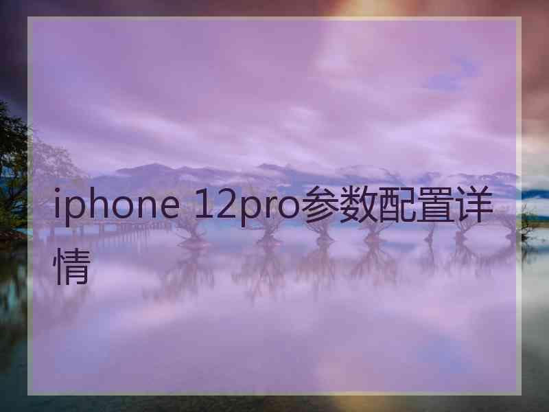 iphone 12pro参数配置详情