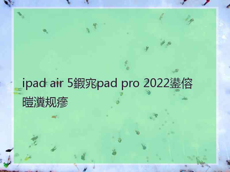 ipad air 5鍜宨pad pro 2022鍙傛暟瀵规瘮