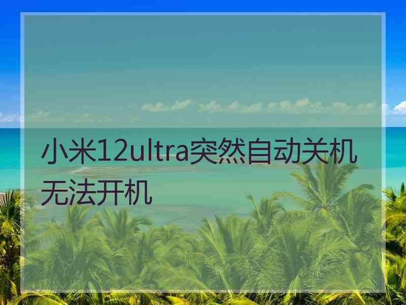 小米12ultra突然自动关机无法开机