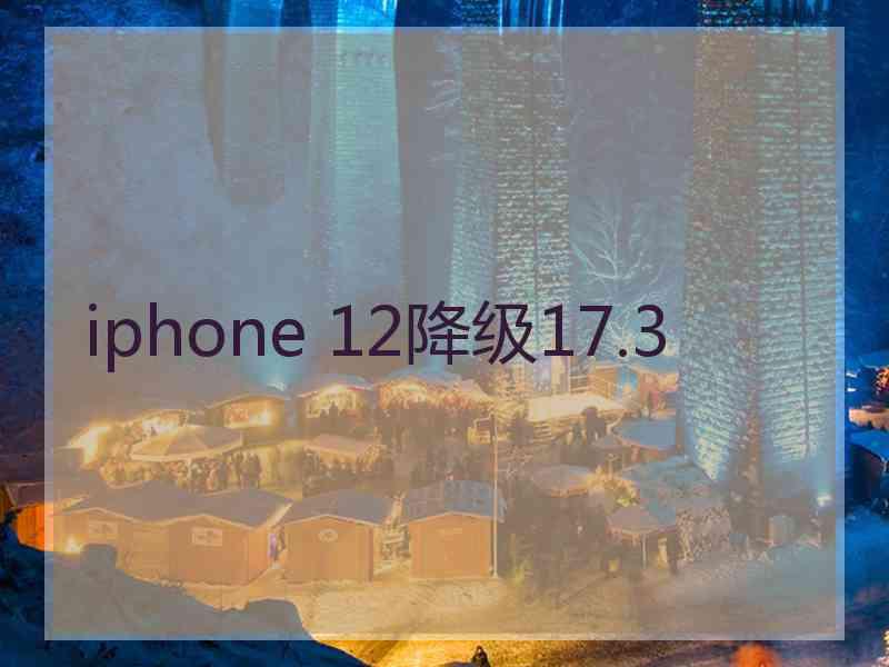 iphone 12降级17.3