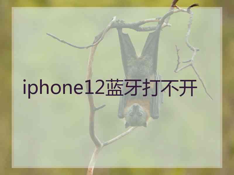 iphone12蓝牙打不开