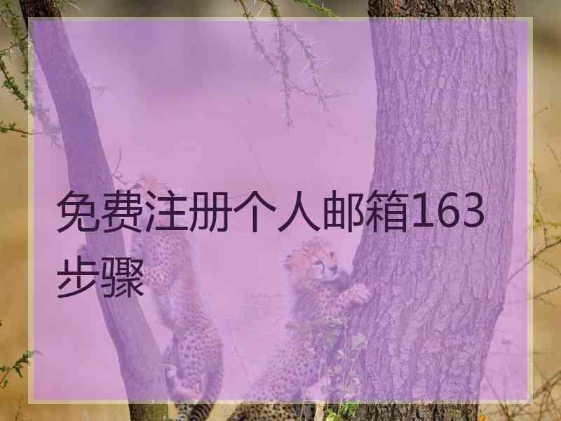 免费注册个人邮箱163步骤