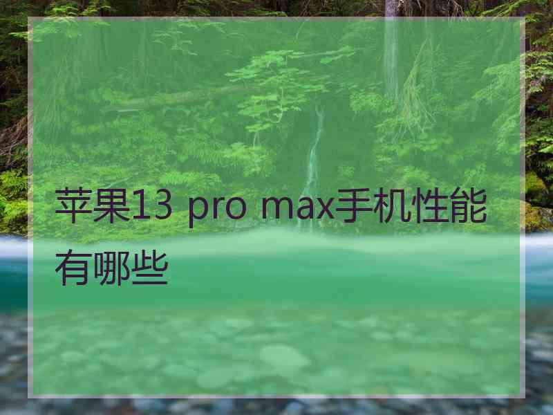 苹果13 pro max手机性能有哪些