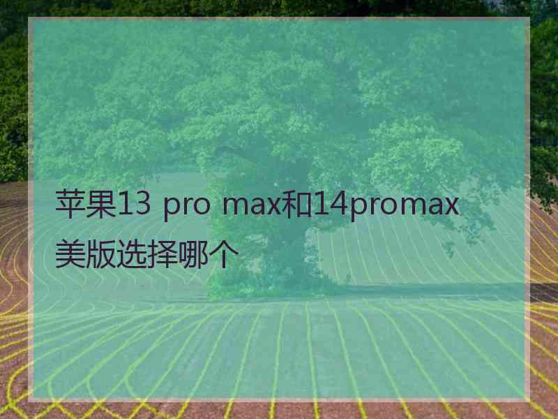 苹果13 pro max和14promax美版选择哪个