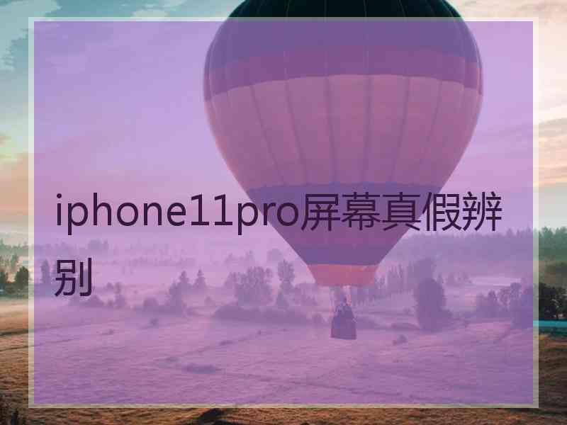 iphone11pro屏幕真假辨别