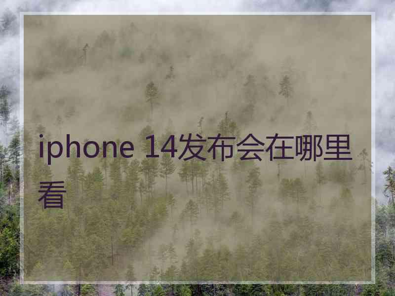 iphone 14发布会在哪里看