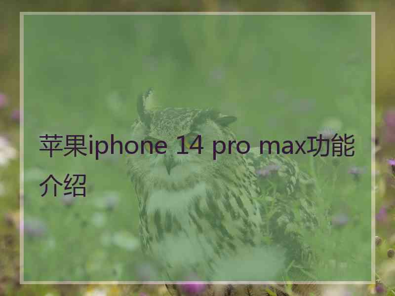 苹果iphone 14 pro max功能介绍